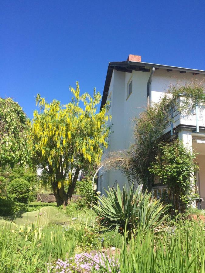 Apartment In Musikalischem Haus Mayen Eksteriør bilde